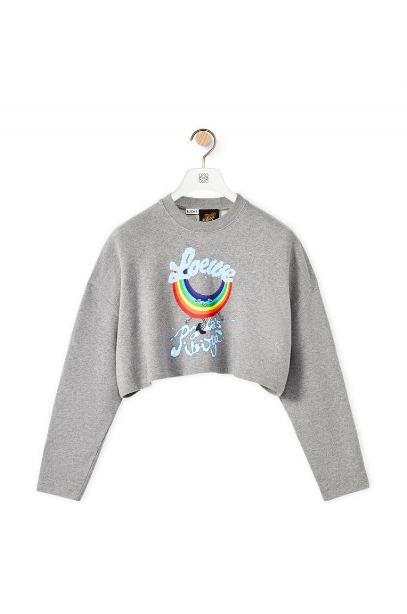 Sudaderas Loewe Rainbow cropped sweatshirt in cotton Mujer Gris | 145WZHIDA