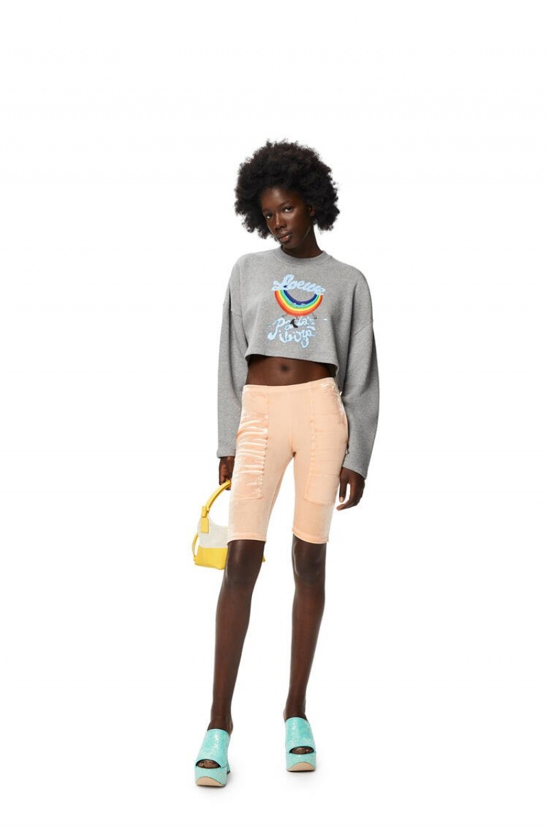 Sudaderas Loewe Rainbow cropped sweatshirt in cotton Mujer Gris | 145WZHIDA